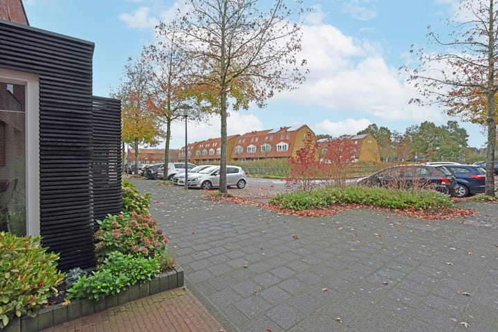 Foto 32 van Rugstreeppad 81