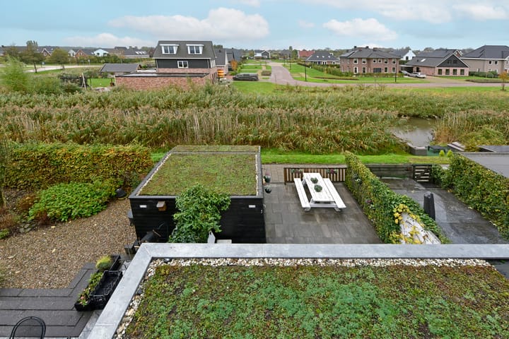 Foto 35 van Rugstreeppad 81