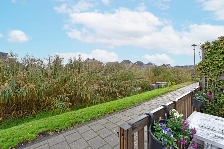 Foto 34 van Rugstreeppad 81