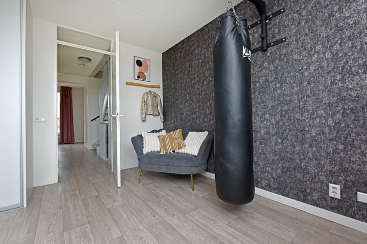 Foto 18 van Rugstreeppad 81