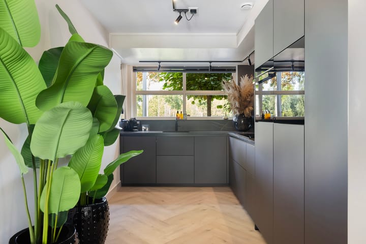 Photo 20 of Hoogveen 64