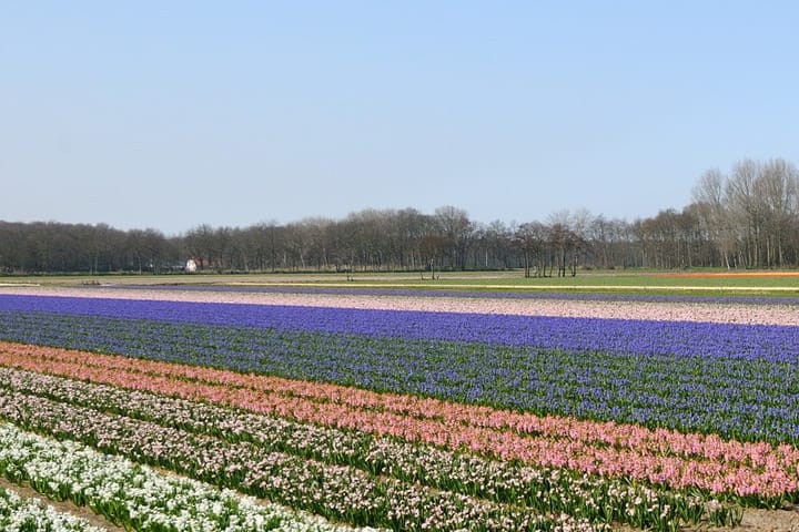 Foto 52 van 't Lange Rack 9