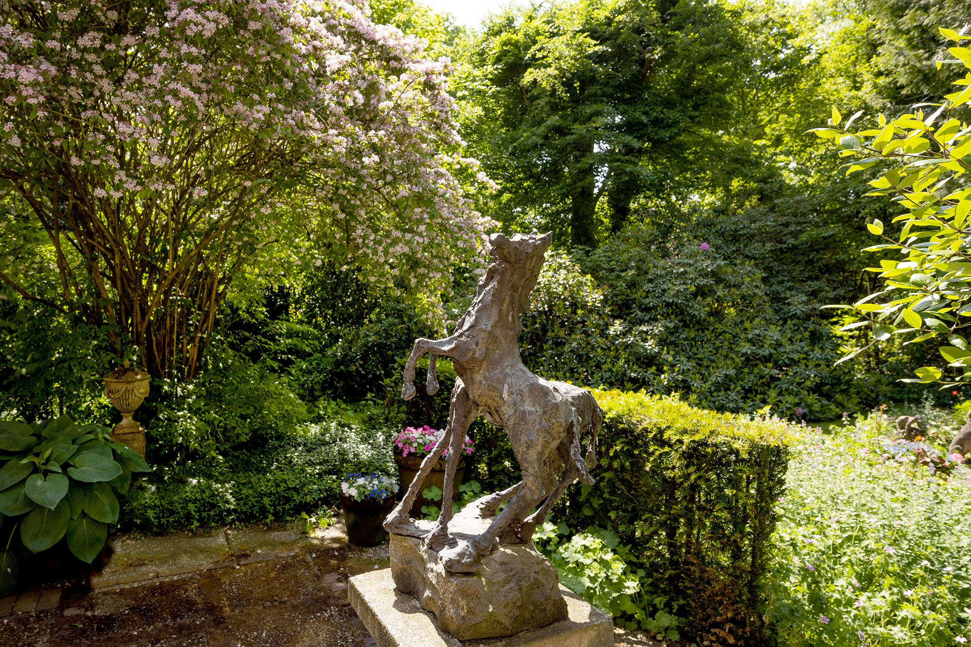 Foto 39 van Torenlaan 57