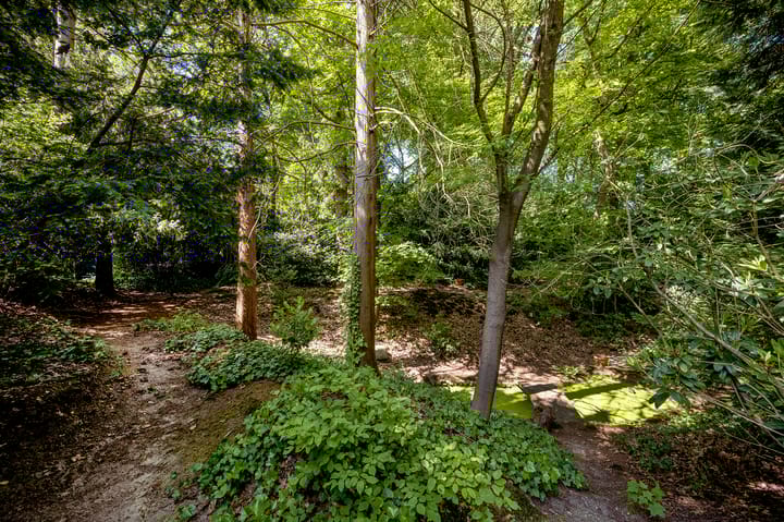 Foto 40 van Torenlaan 57