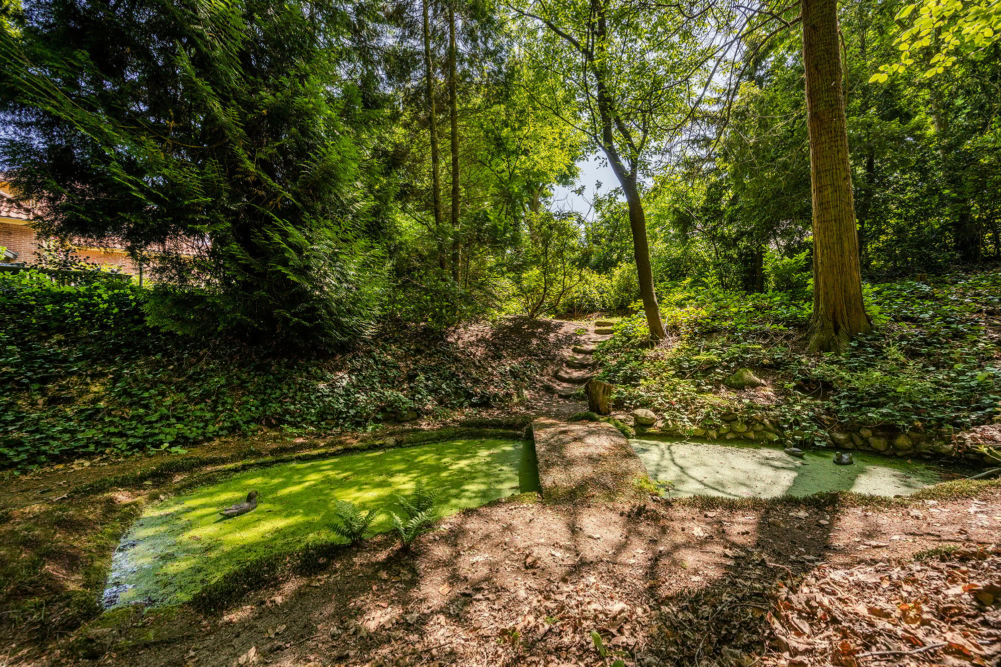 Foto 42 van Torenlaan 57