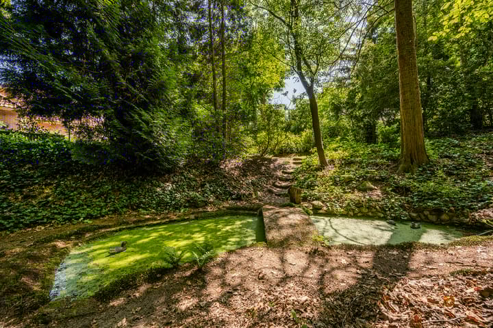 Foto 42 van Torenlaan 57