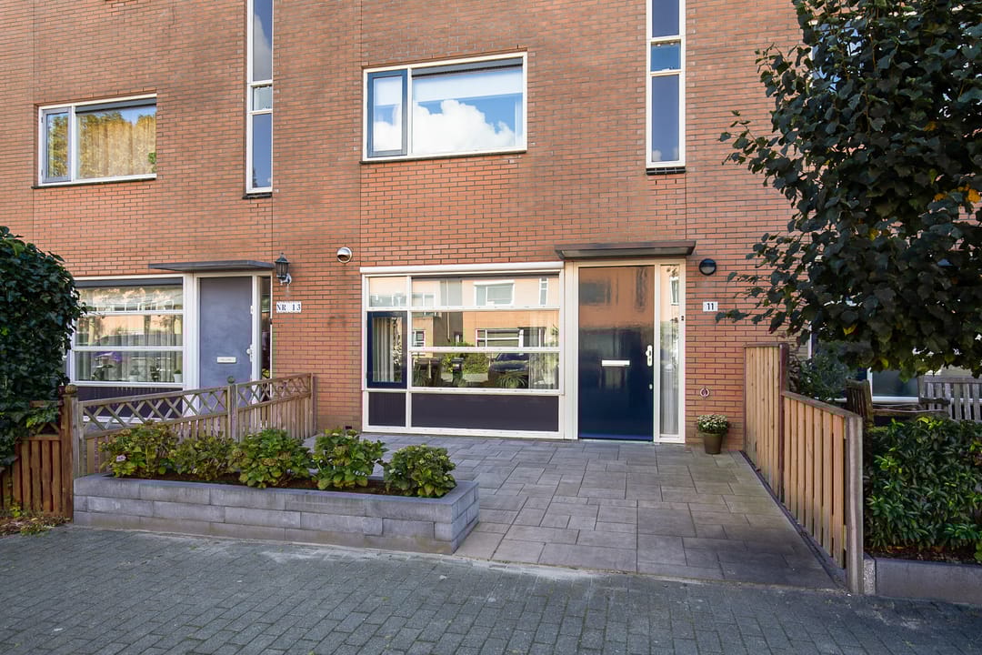 Foto 7 van Palmestein 11