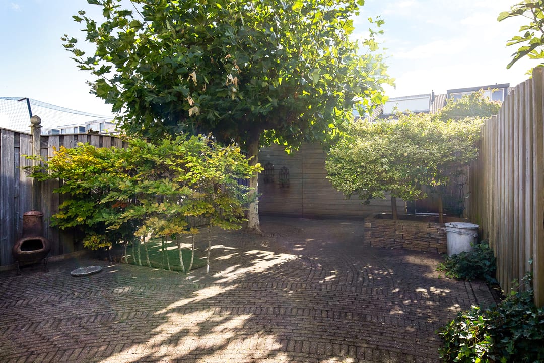 Foto 31 van Palmestein 11