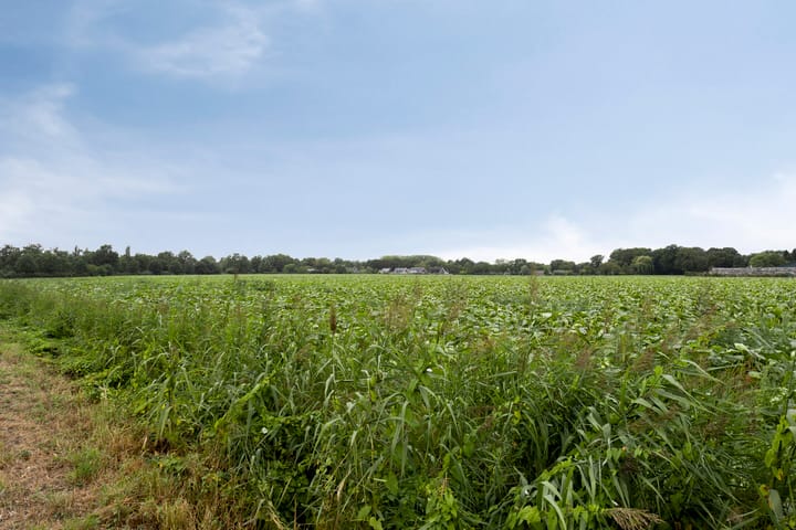 Photo 72 of Stappenhoeve 5