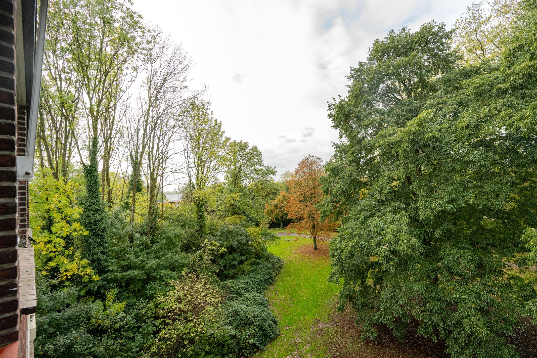 Foto 24 van Ruigoord 228