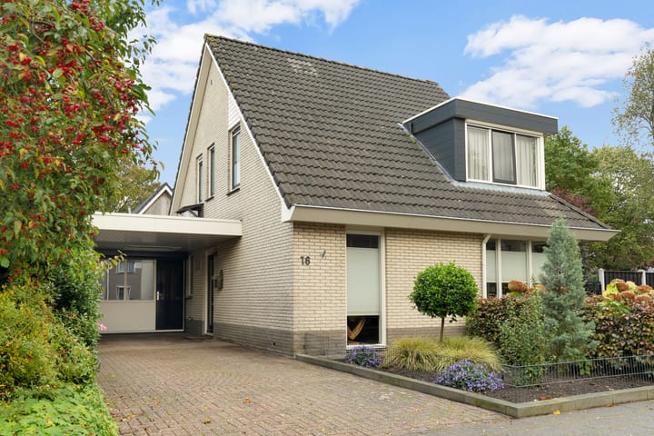 Photo 37 of Morgenster 16