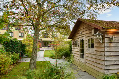 Wulp 3 tertiary image