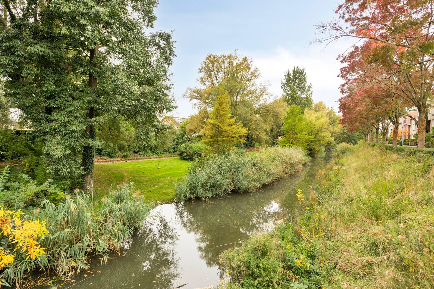 Photo 40 of Hondiusdomein 8