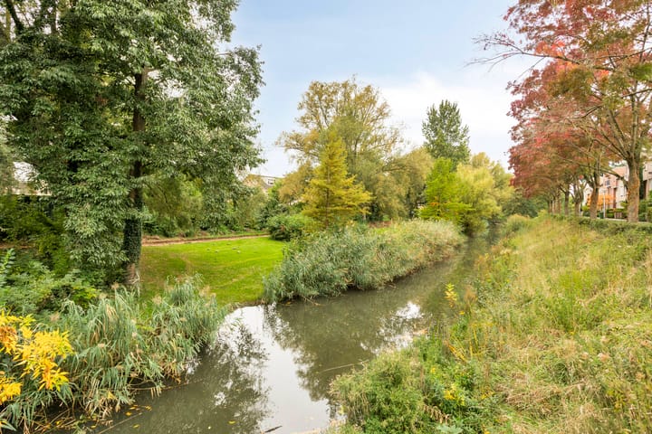 Foto 40 van Hondiusdomein 8