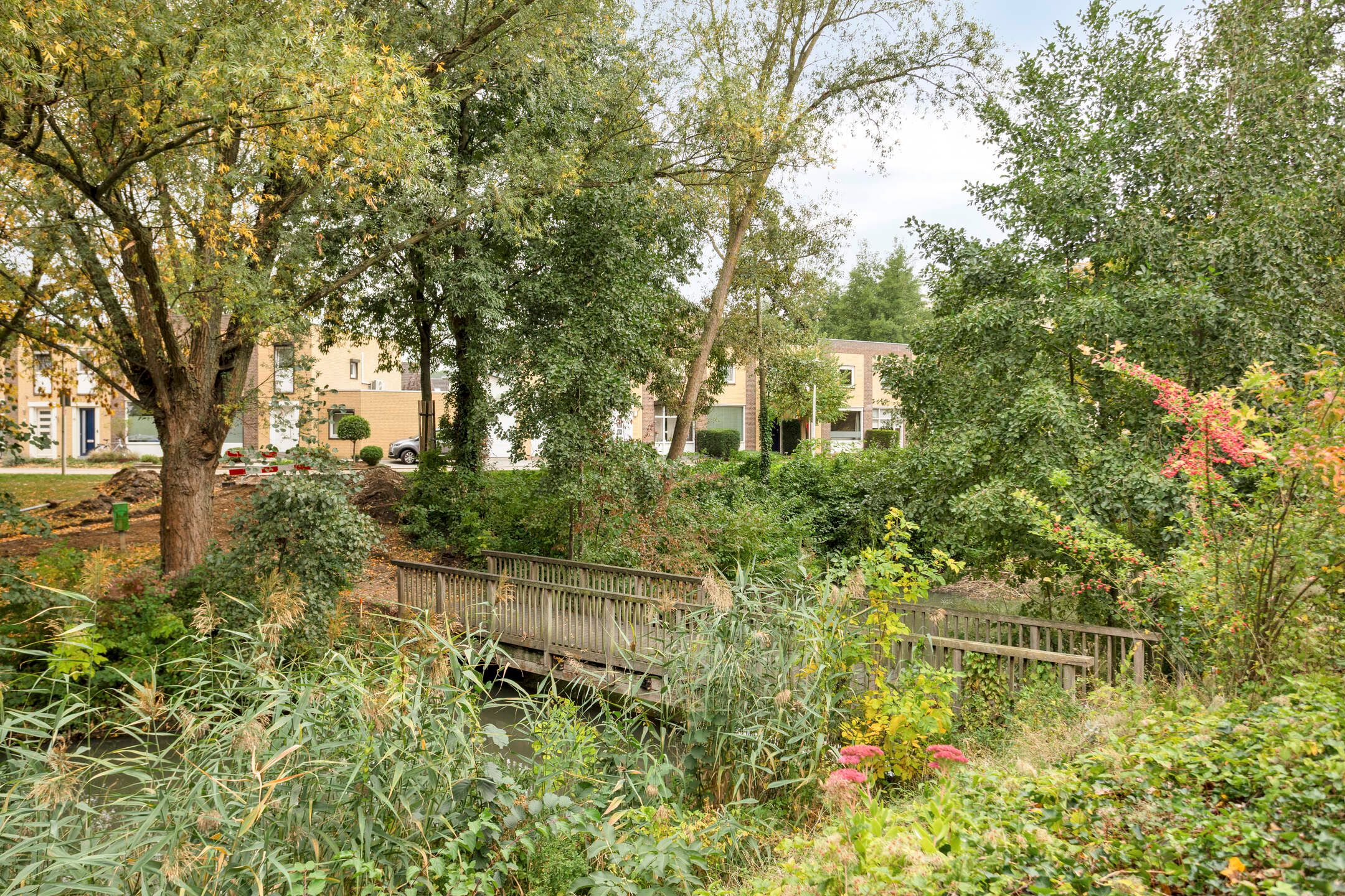 Photo 42 of Hondiusdomein 8