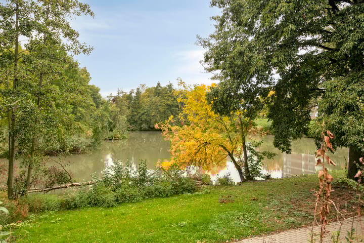 Foto 41 van Hondiusdomein 8