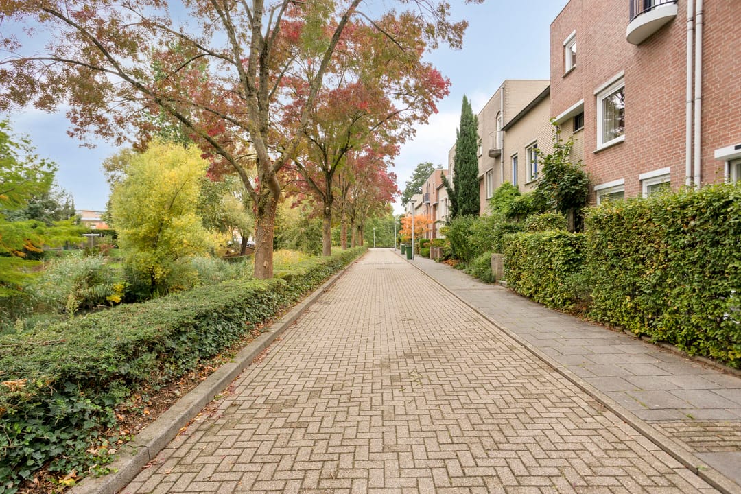 Photo 47 of Hondiusdomein 8