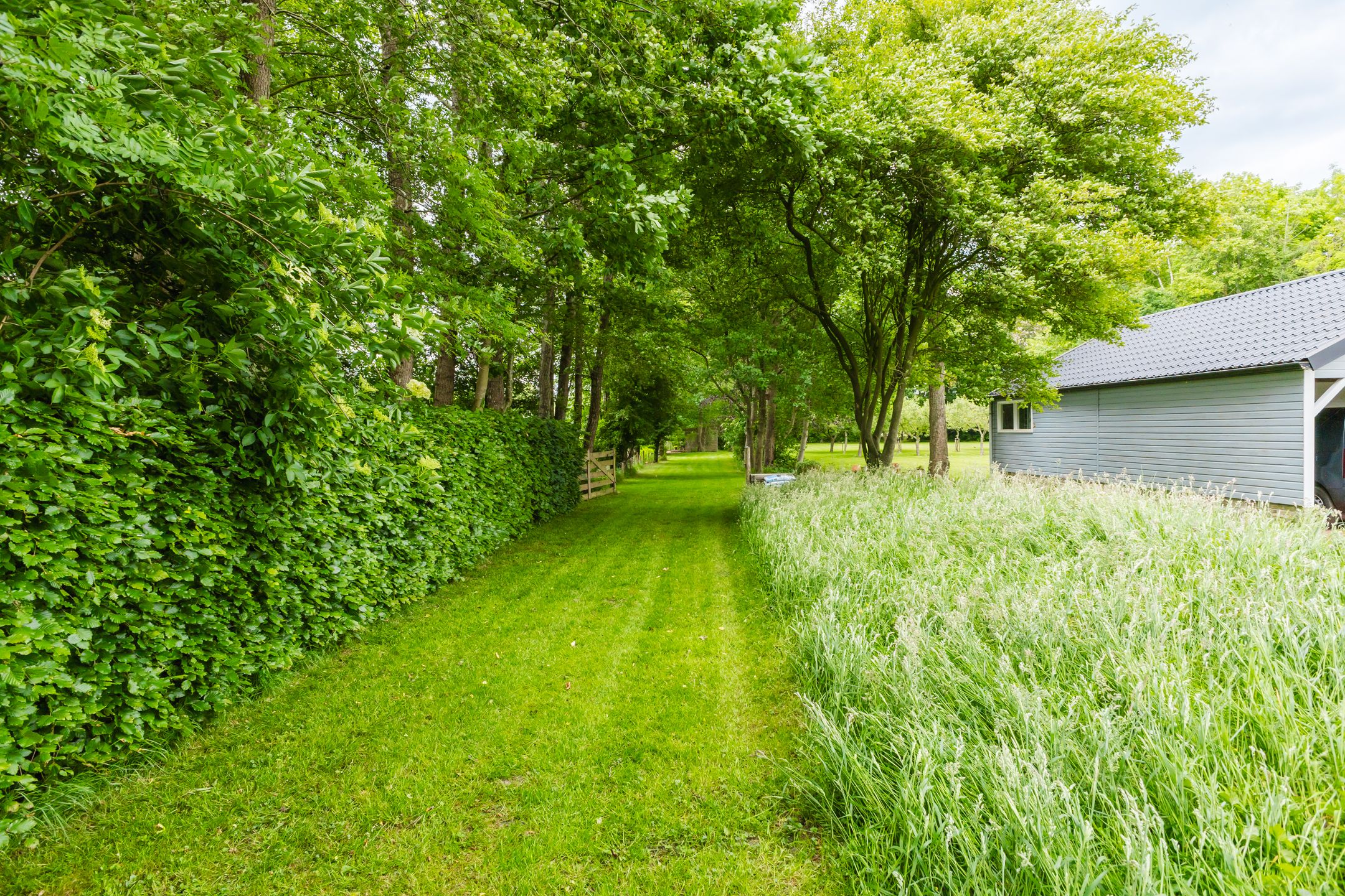 Photo 18 of Jonkerslandreed 5