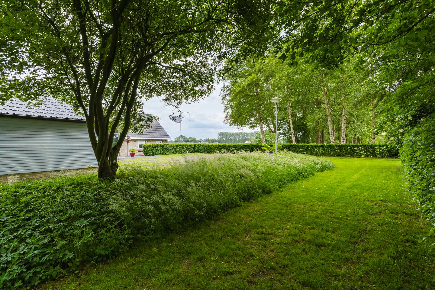 Photo 19 of Jonkerslandreed 5