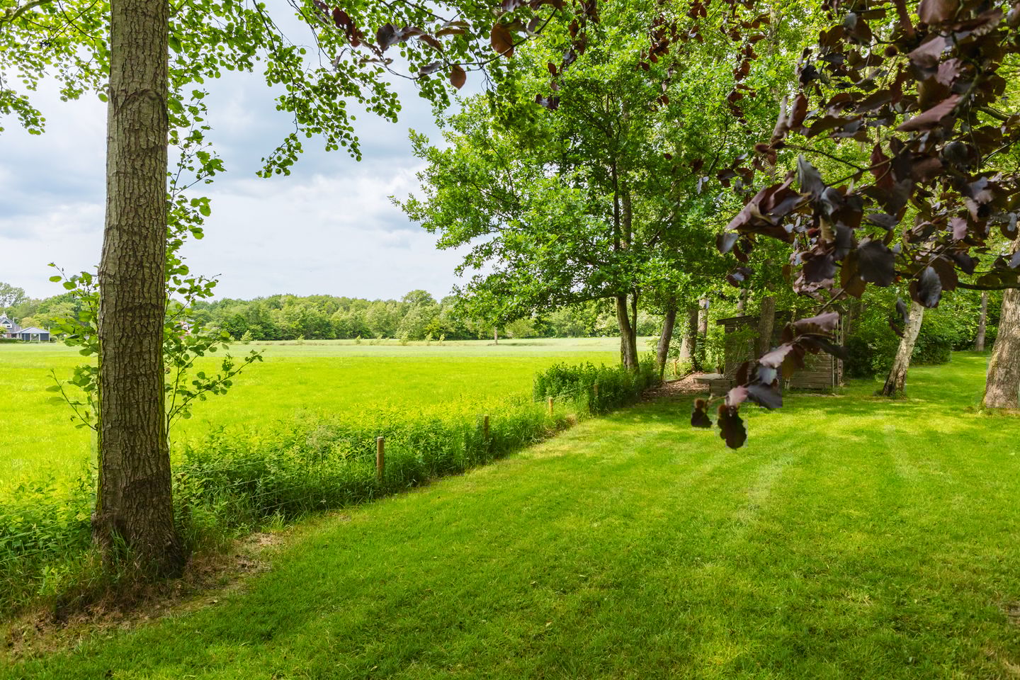 Photo 20 of Jonkerslandreed 5