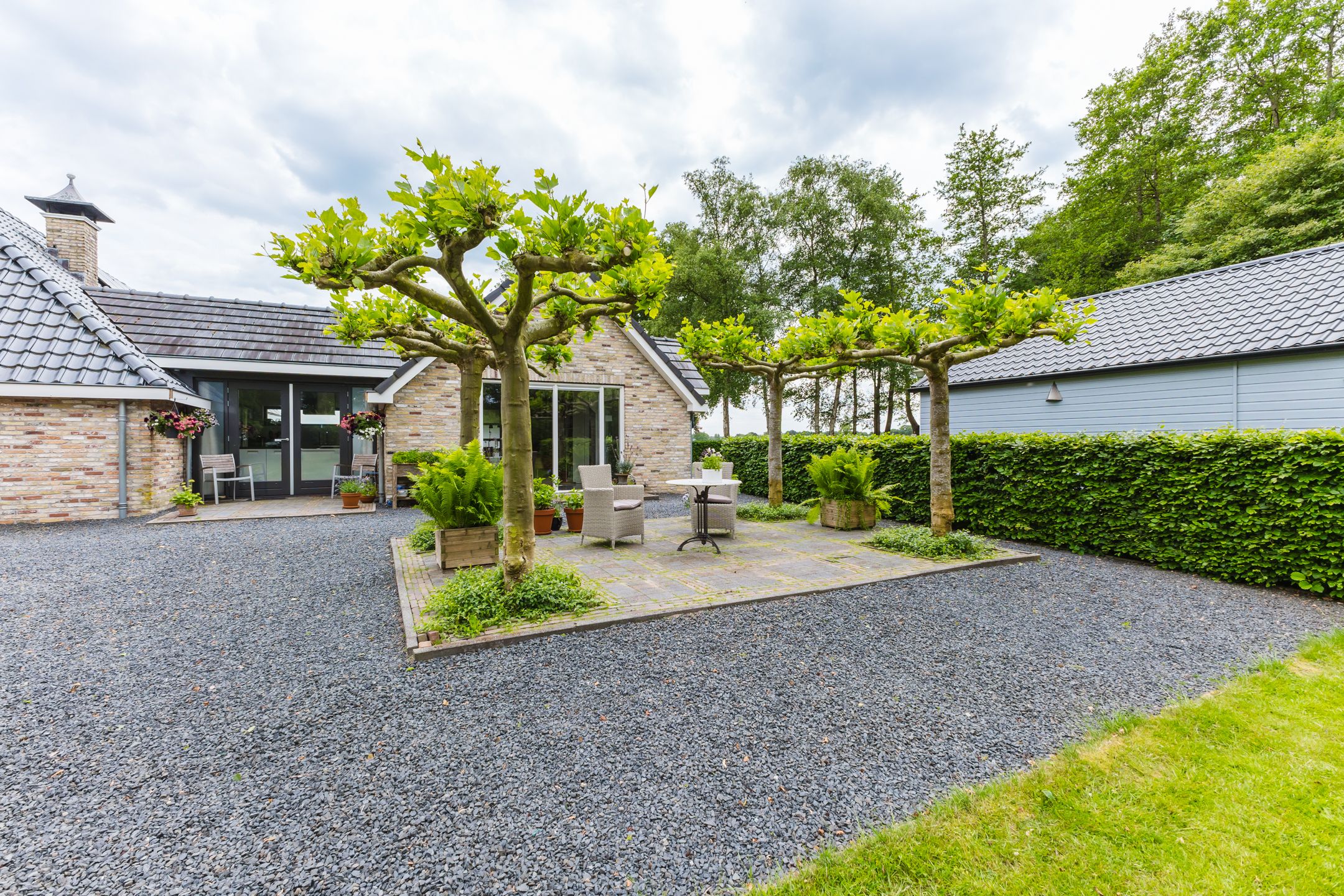 Photo 24 of Jonkerslandreed 5