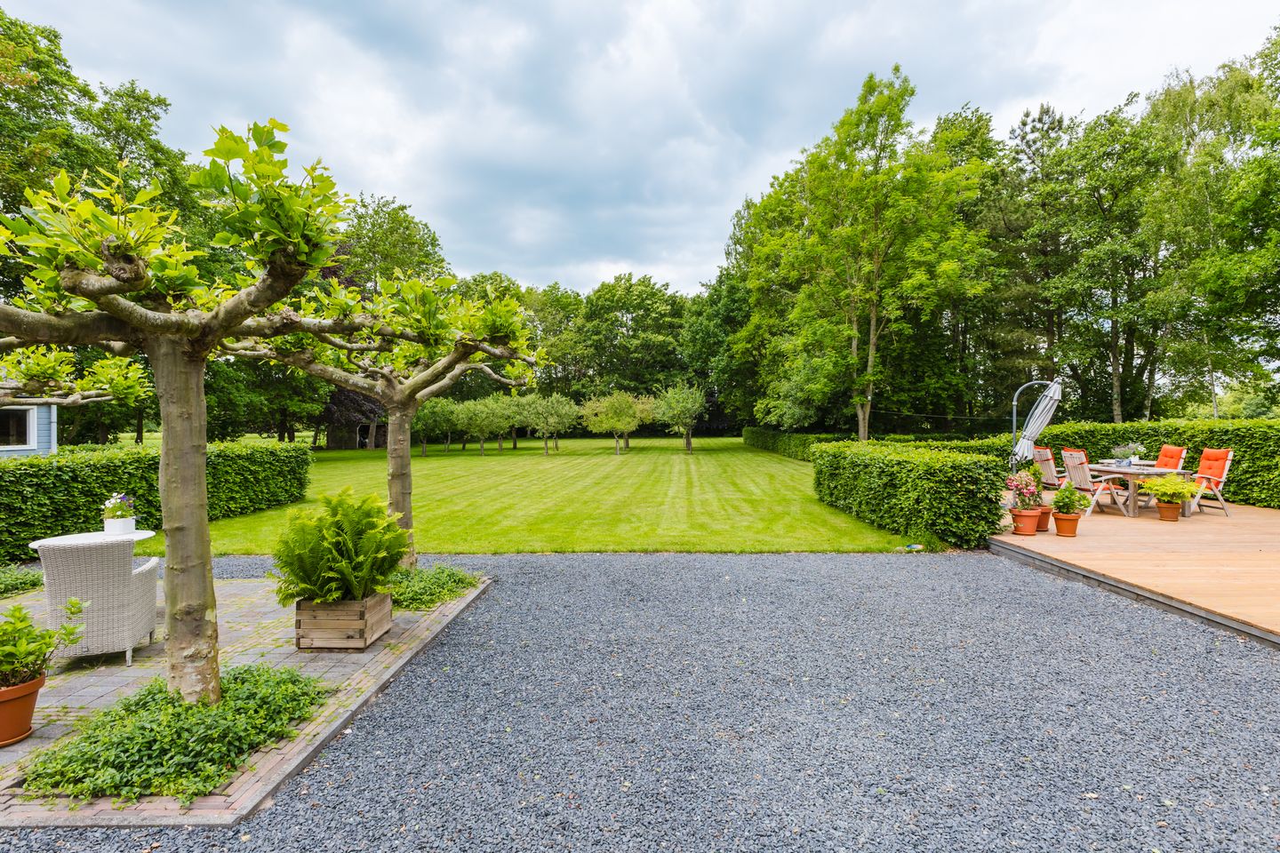 Photo 25 of Jonkerslandreed 5