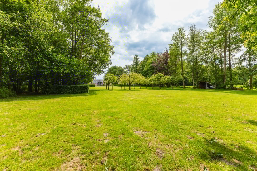 Photo 26 of Jonkerslandreed 5