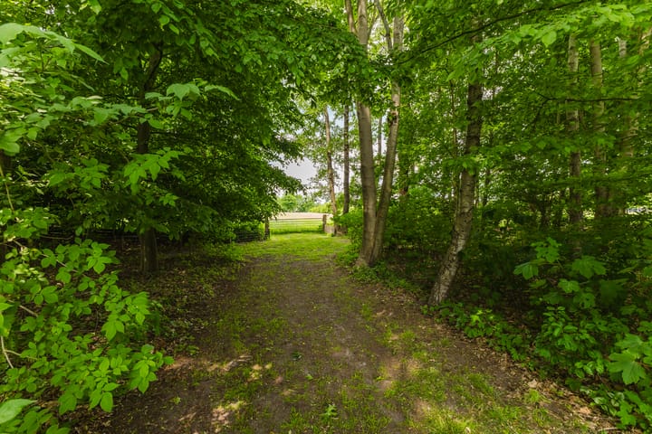 Foto 28 van Jonkerslandreed 5