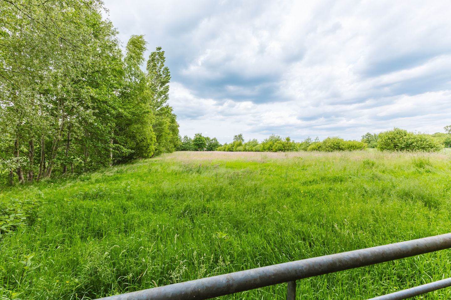 Photo 29 of Jonkerslandreed 5