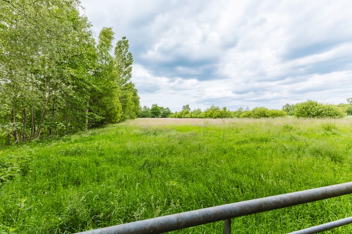 Foto 29 van Jonkerslandreed 5