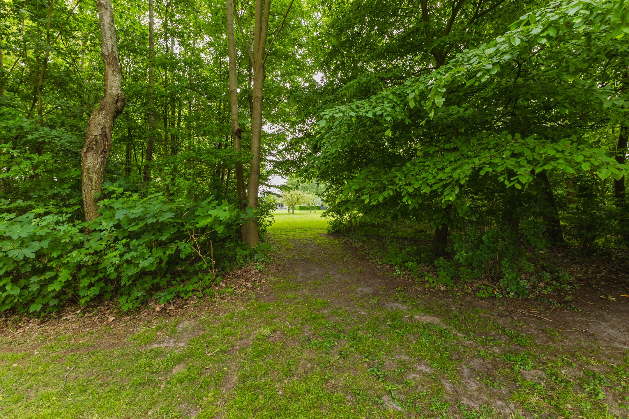 Photo 30 of Jonkerslandreed 5