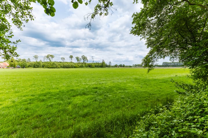 Foto 32 van Jonkerslandreed 5