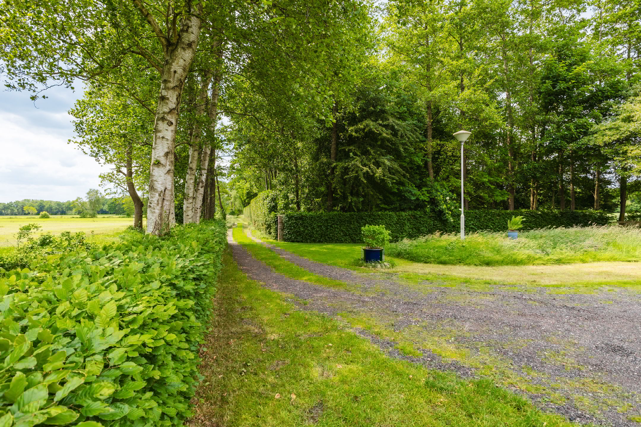 Photo 36 of Jonkerslandreed 5