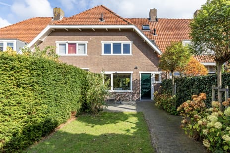 undefined main image