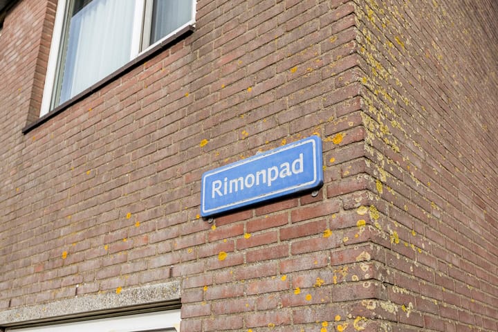 Photo 30 of Rimonpad 4