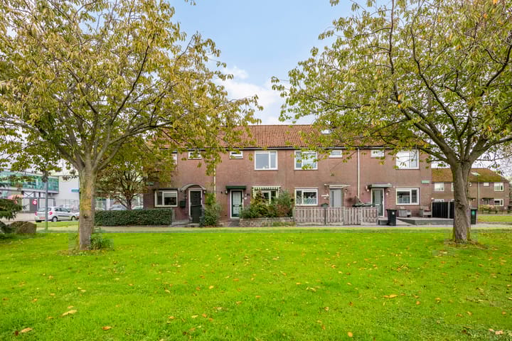 Photo 31 of Rimonpad 4