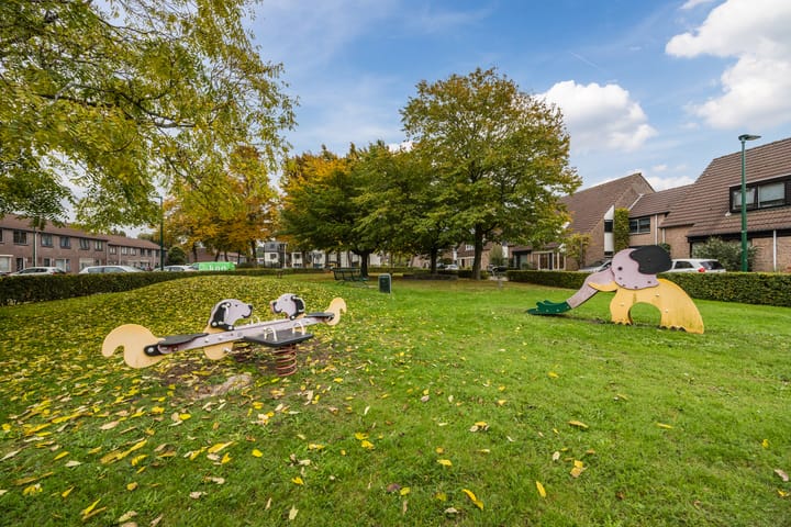 Photo 54 of van Riebeeckstraat 29