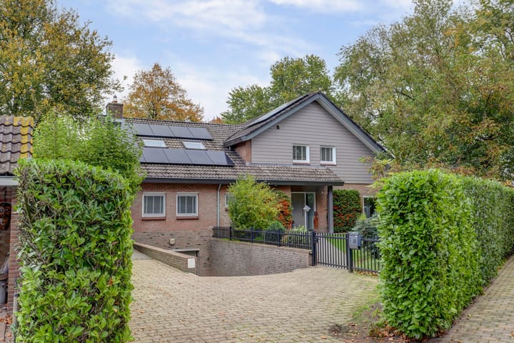 Photo 74 of Ratelwacht 33