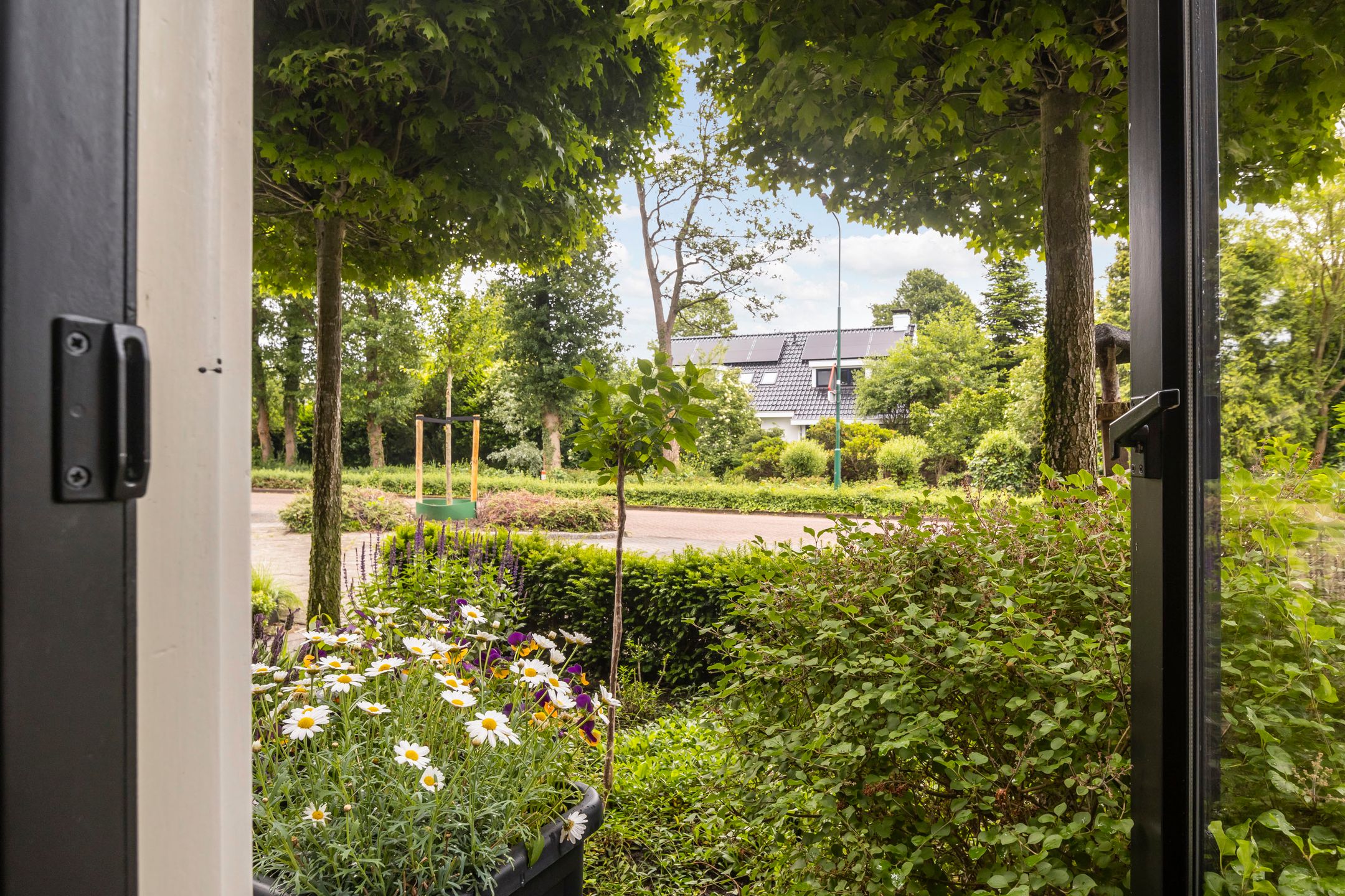 Foto 6 van Brederodelaan 68