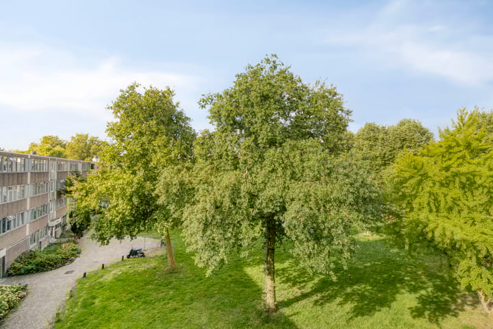 Photo 17 of Fokkezeil 13