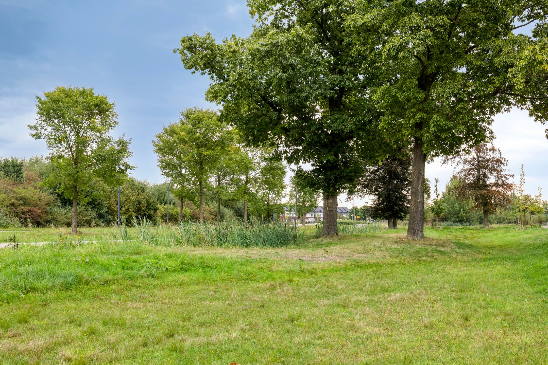 Foto 27 van Wieldijksgaarden 38