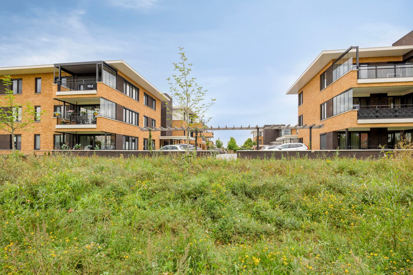 Foto 29 van Wieldijksgaarden 38