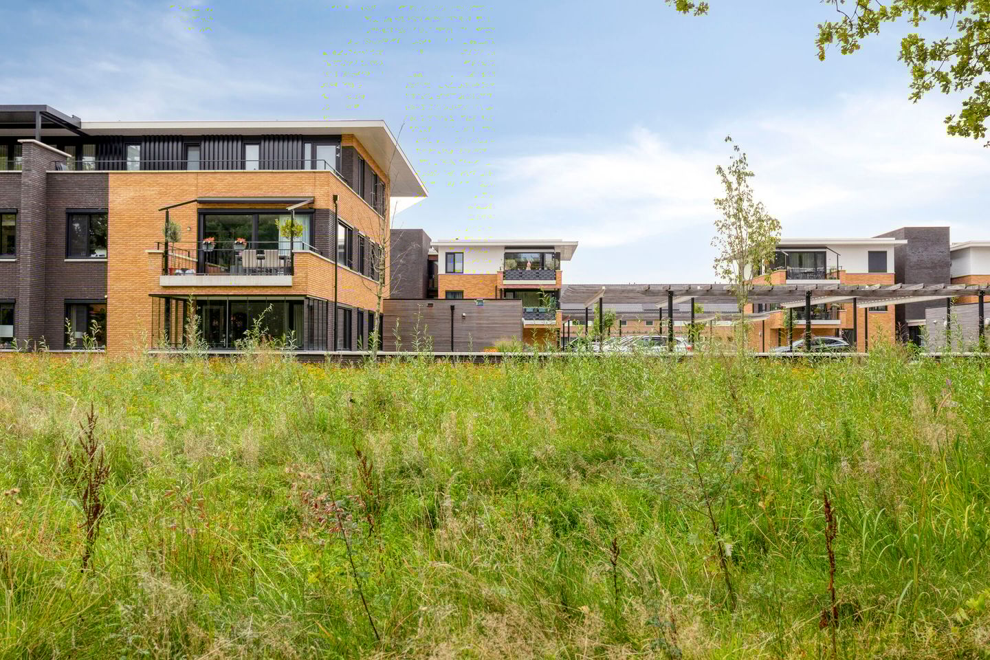 Foto 34 van Wieldijksgaarden 38