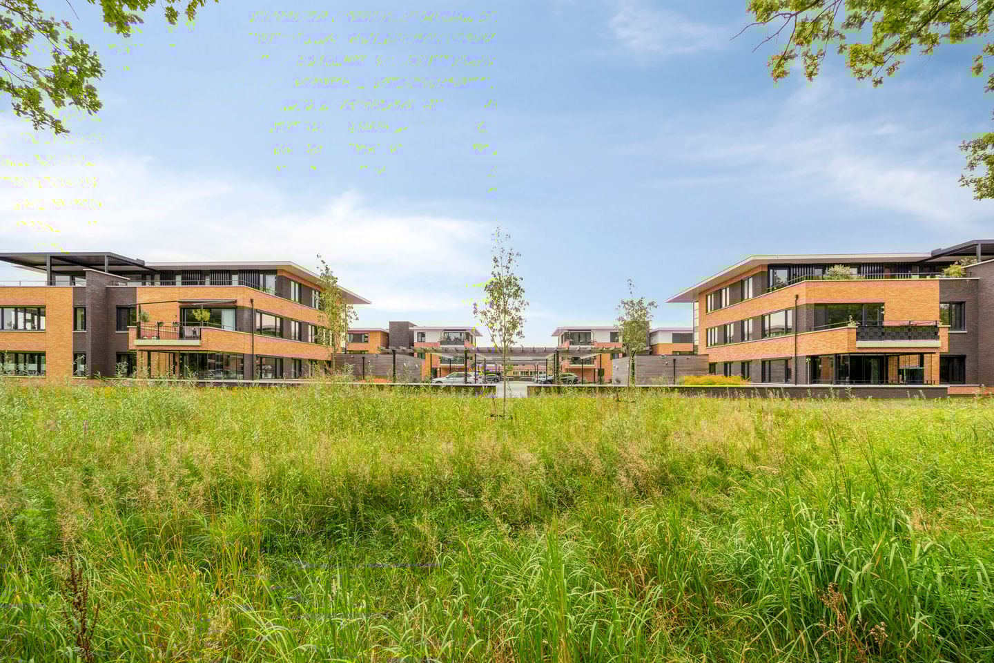 Foto 35 van Wieldijksgaarden 38