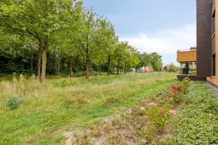 Foto 36 van Wieldijksgaarden 38