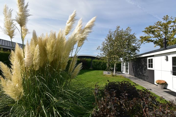 Foto 18 van Groenedijk 6