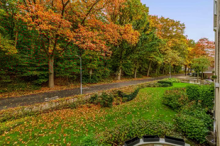 Photo 13 of Ambrosiuslaan 71