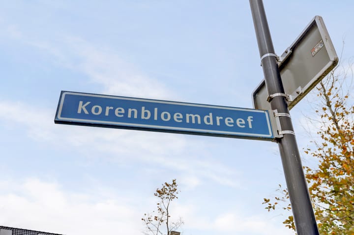 Foto 5 van Korenbloemdreef 35