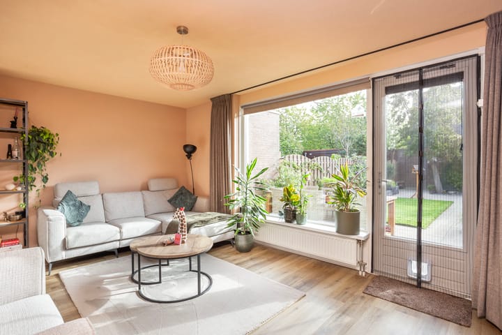 Photo 3 of Muurkruid 22