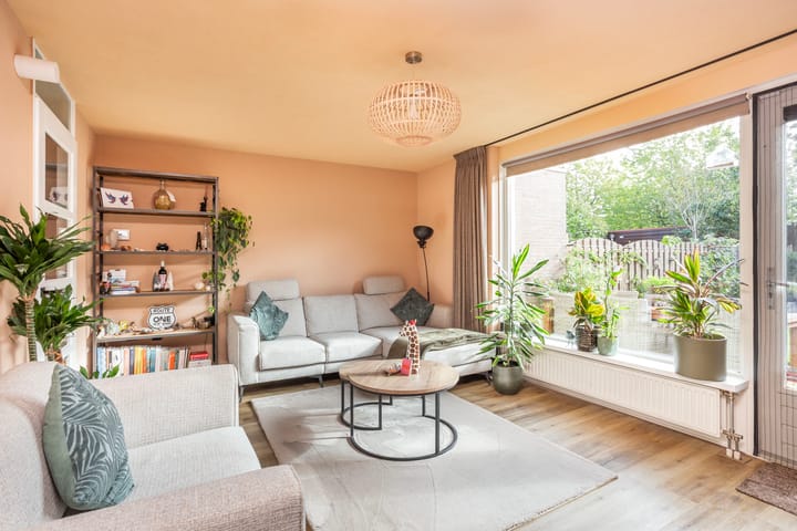 Photo 2 of Muurkruid 22